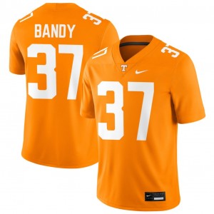 Men #37 Tennessee Vols Stitched Montrell Bandy College Football Jersey - Tennessee Orange