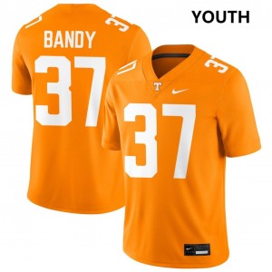 Youth #37 TN Vols Stitched Montrell Bandy College Football Jersey - Tennessee Orange