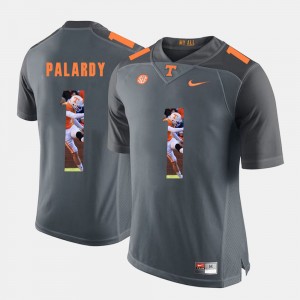 Men Vols Pictorial Fashion #1 Michael Palardy college Jersey - Grey